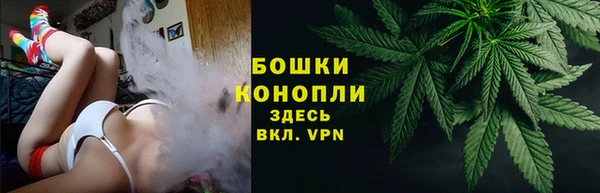 шишки Аркадак