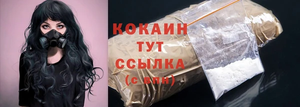 крисы Армянск