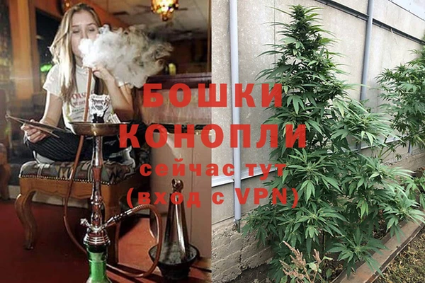 каннабис Арсеньев
