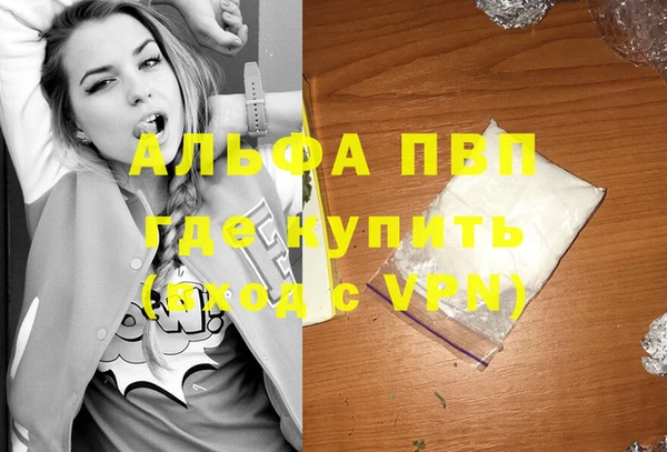 шишки Аркадак