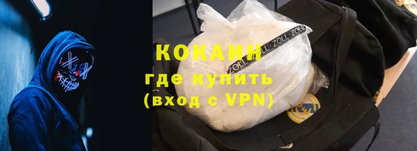 шишки Аркадак