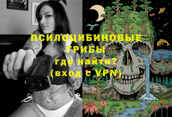 крисы Армянск
