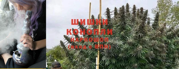 крисы Армянск