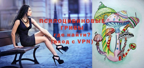 шишки Аркадак