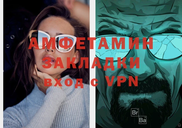 шишки Аркадак