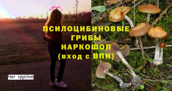 каннабис Арсеньев
