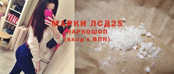шишки Аркадак