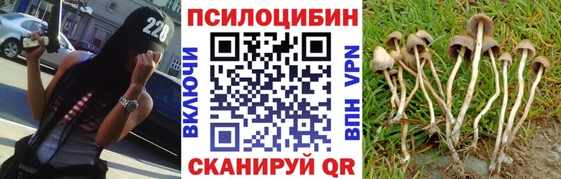 закладки  дарк нет как зайти  Галлюциногенные грибы Psilocybe  Строитель 